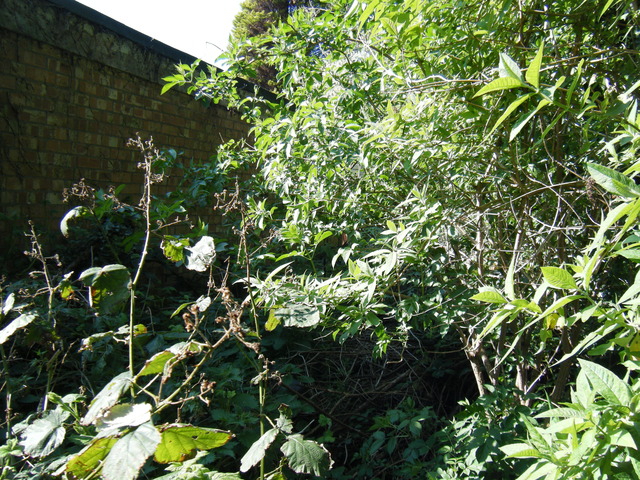 dscf5078.jpg